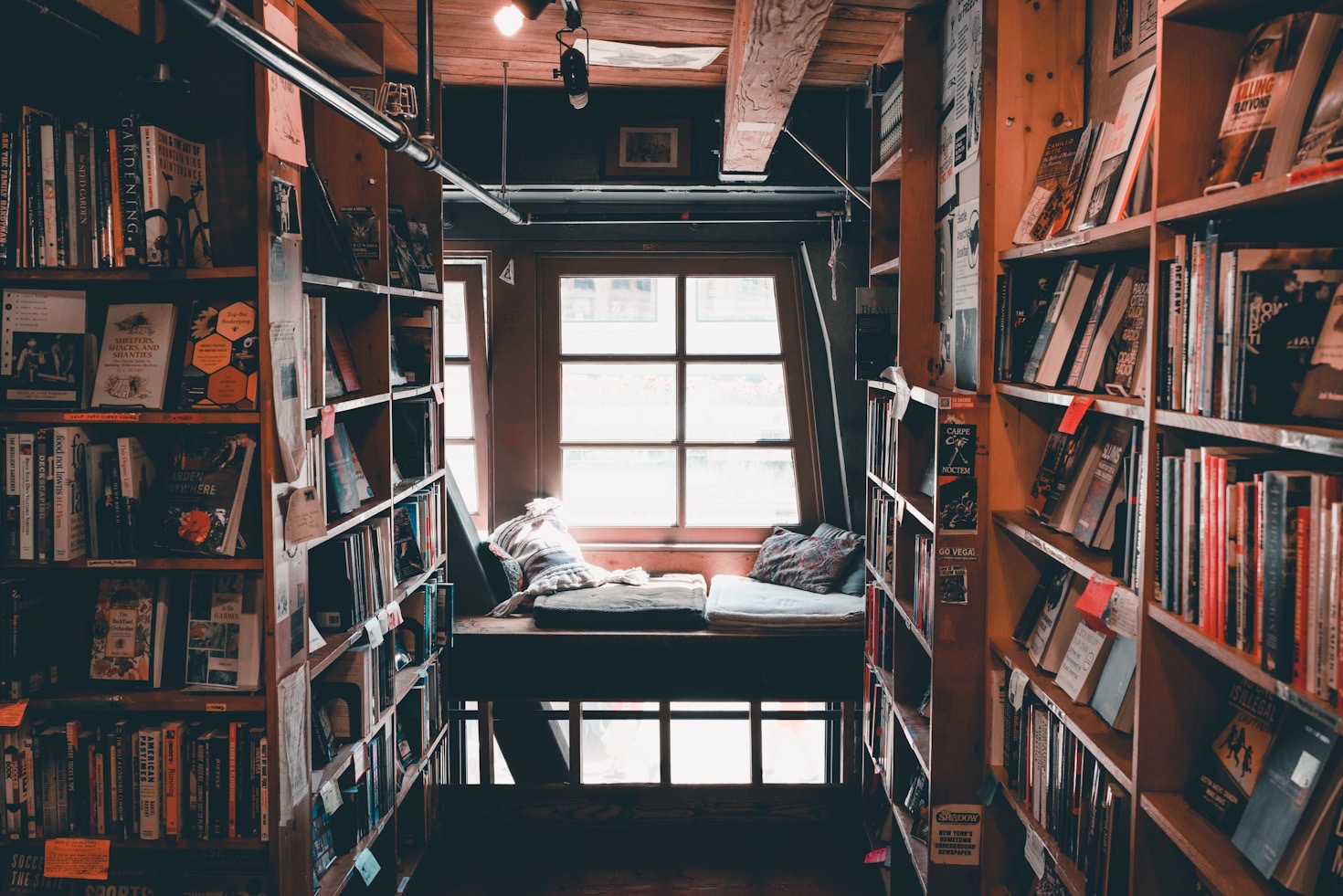 Blick hinter die Kulissen: Wie ein neues Buch entsteht